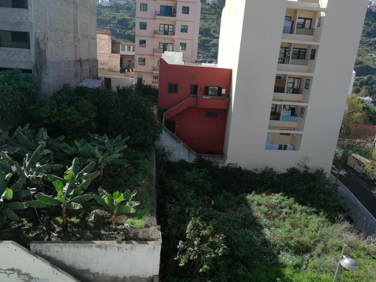 Apartamento Centro De Icod 5 Min. Drago 伊科德·德·洛斯·维诺斯 外观 照片